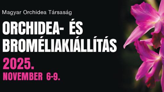 Kezdetét veszi az Orchidea- és Bromélia Kiállítás a Vajdahunyadvárban!