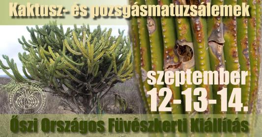 Kaktusz- és pozsgásmatuzsálemek | Őszi Országos Kaktuszkiállítás és Vásár a Füvészkertben szeptember 12–14.