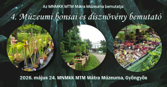 Különleges dísznövények Gyöngyösön – érkezik a 4. Múzeumi Bonsai és Dísznövény bemutató